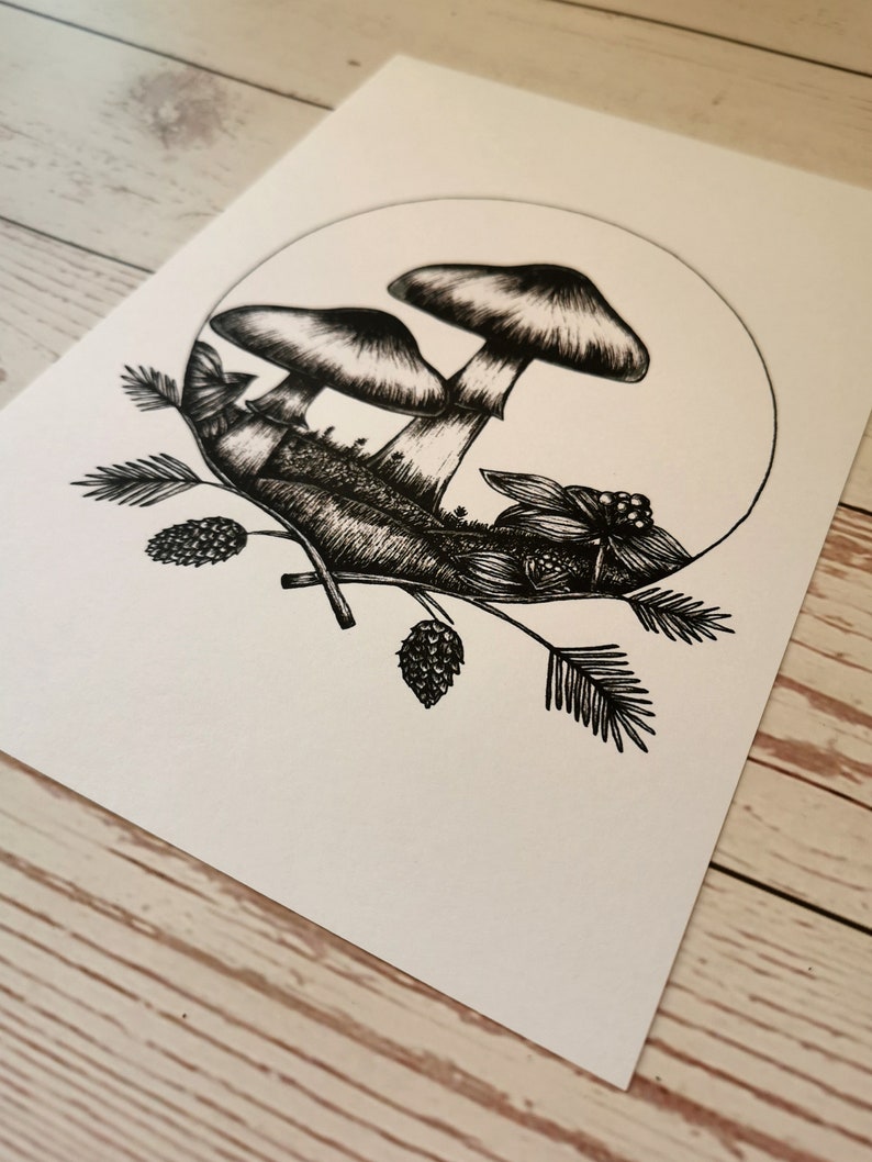 May include: Black and white ink drawing of two mushrooms with a pine branch and pine cones. The mushrooms are in a circle with a white background.