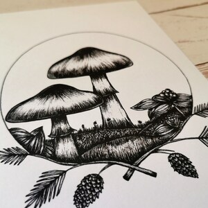 May include: Black and white ink drawing of two mushrooms with pine needles and cones around them.