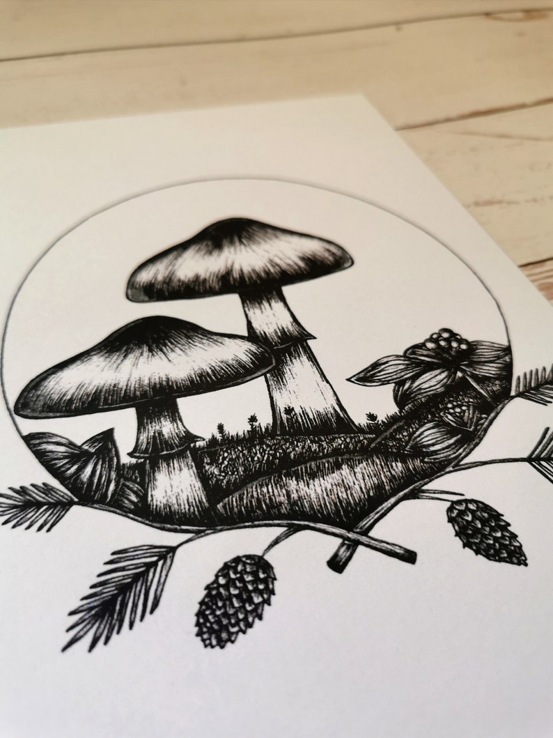 May include: Black and white ink drawing of two mushrooms with pine needles and cones around them.