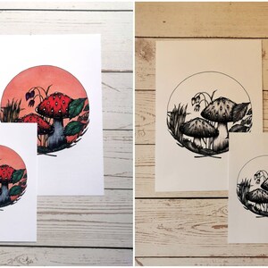 May include: Two prints of a mushroom illustration. One print is in color with red and green mushrooms on a peach background. The other print is in black and white.