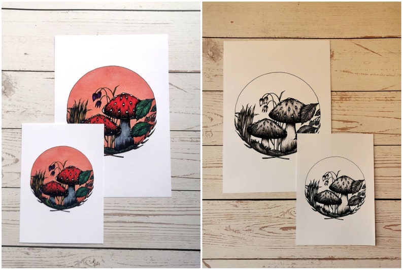 May include: Two prints of a mushroom illustration. One print is in color with red and green mushrooms on a peach background. The other print is in black and white.