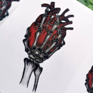 K&ouml;nnte beinhalten: Ein rotes anatomisches Herz, das von einer skelettartigen Hand gehalten wird. Das Herz ist mit Adern und Arterien detailliert, w&auml;hrend die Hand in Schwarzwei&szlig; dargestellt ist.