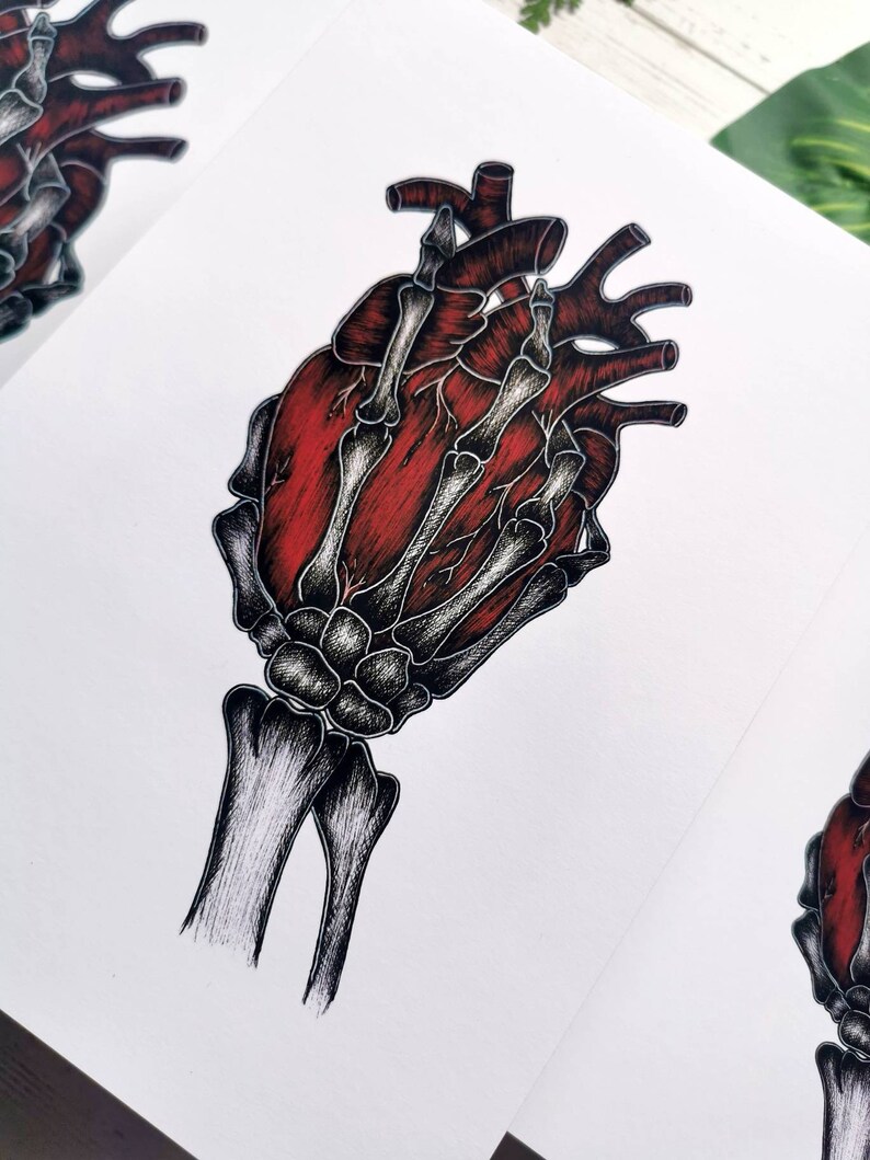 K&ouml;nnte beinhalten: Ein rotes anatomisches Herz, das von einer skelettartigen Hand gehalten wird. Das Herz ist mit Adern und Arterien detailliert, w&auml;hrend die Hand in Schwarzwei&szlig; dargestellt ist.