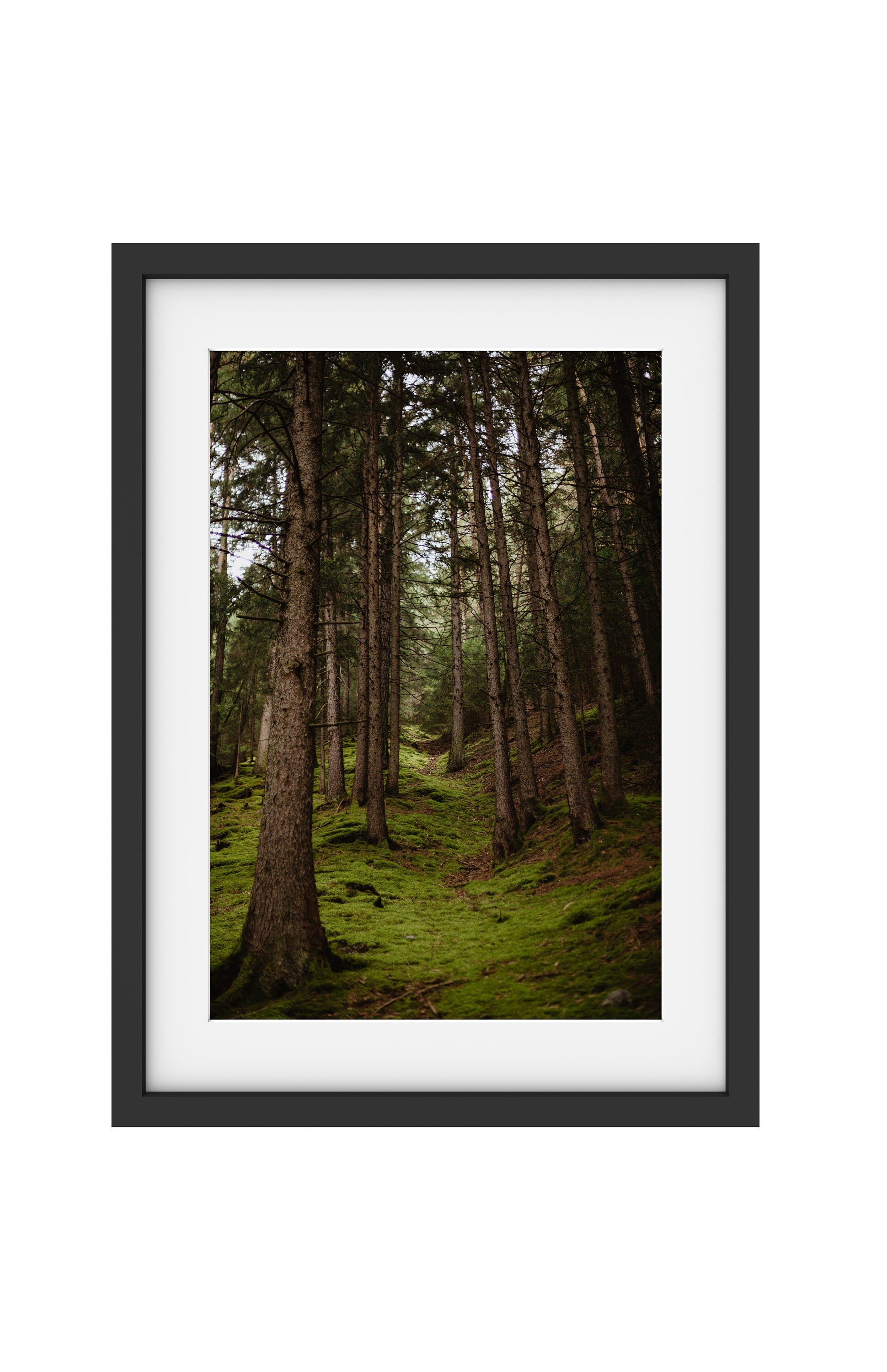Barque sur Le Lac de Braies, Italie Du Nord, Lac, Montagne, Tirage Photo, Encadrement Mural, Déco