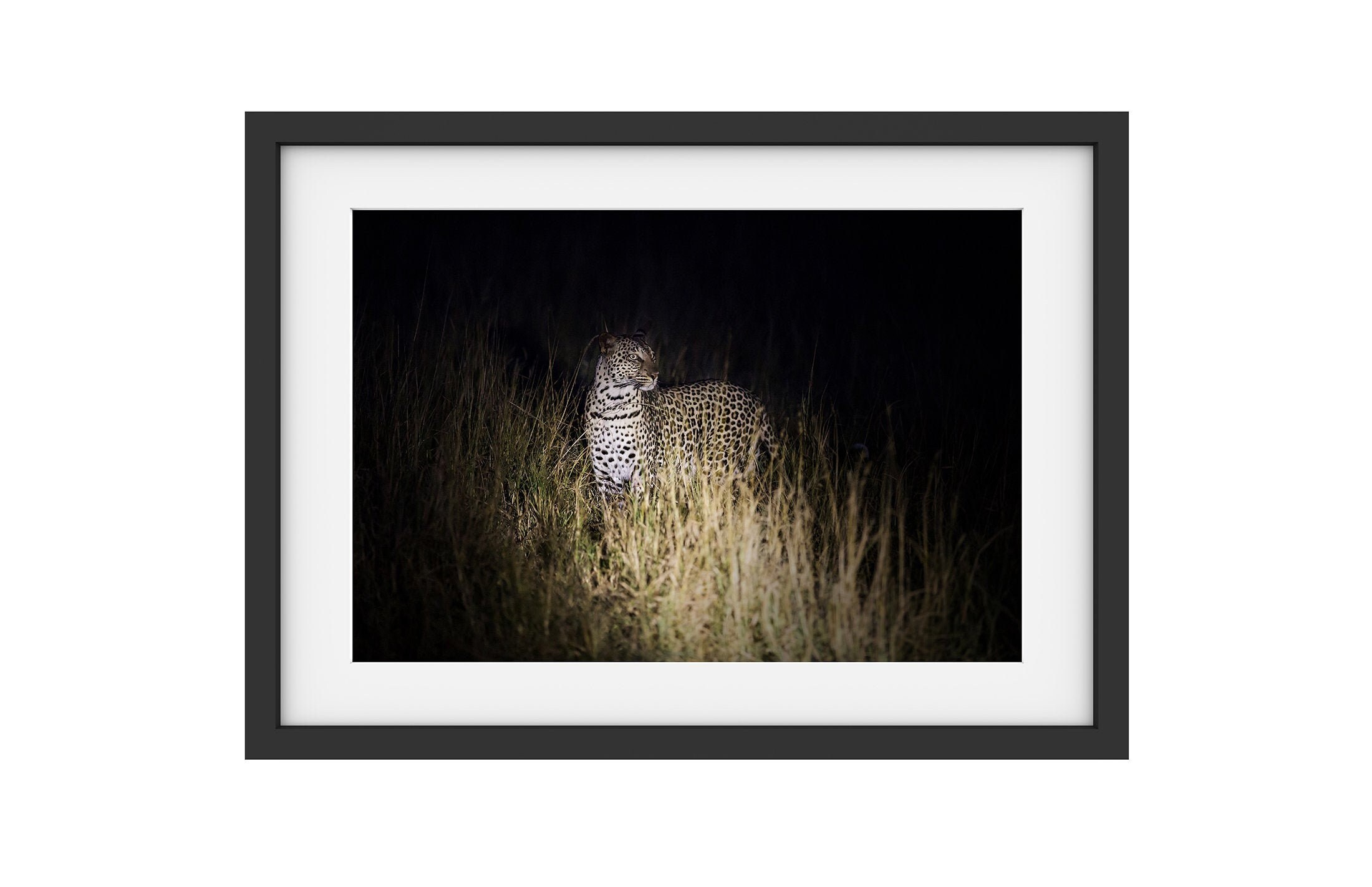 Leopard By Night, Tirage Photo, Encadrement Mural, Déco