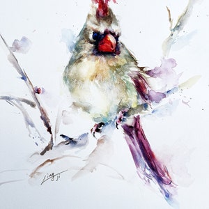 A female Northern Cardinal