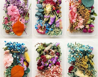 Dried Flower for Resin Acrsikr Natural Dried Pressed Flower Purple