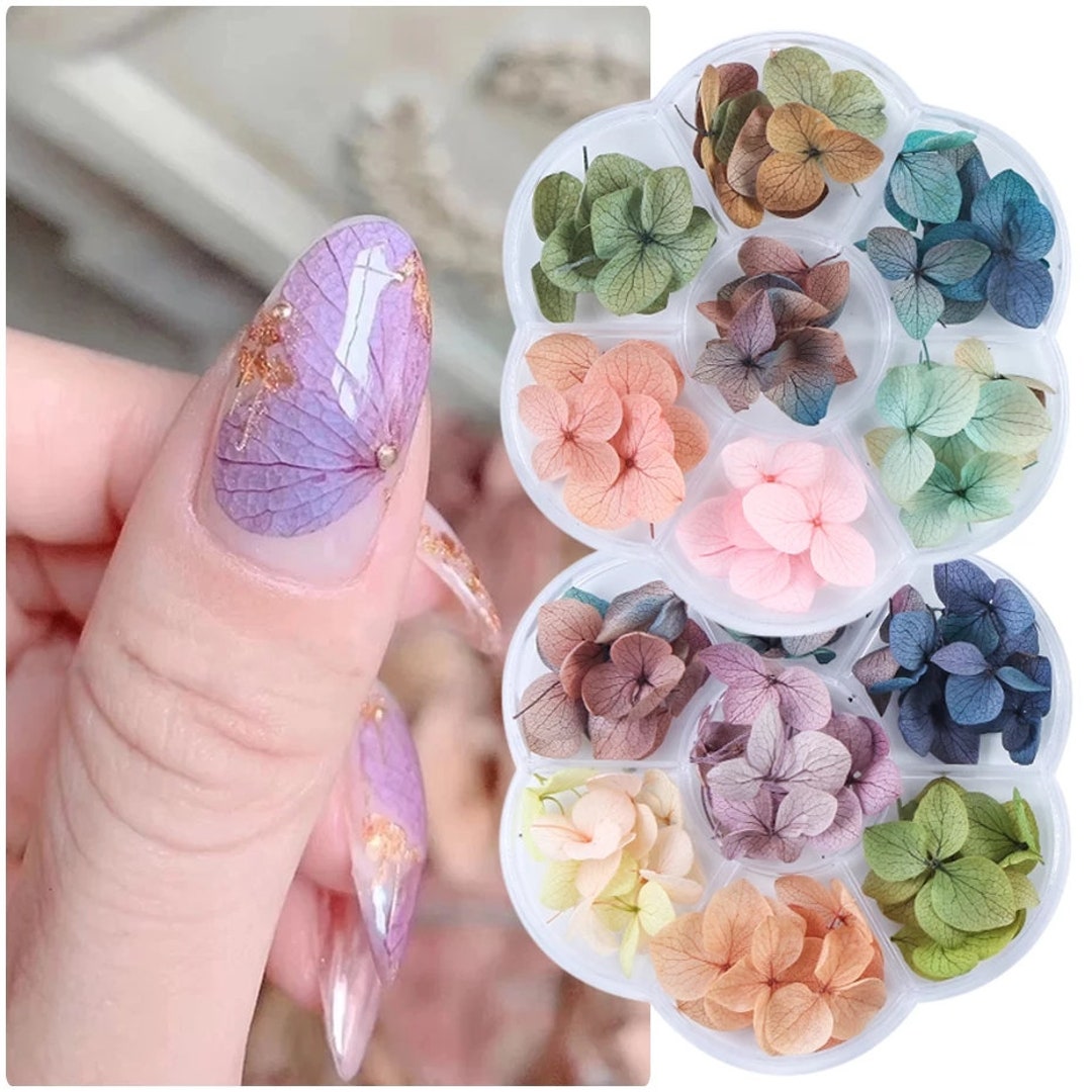 Warmfits Dried Flowers for Nails 120pcs/set 3D Real Encapsulated Nail  Pressed Flowers for Nail Art & Resin Craft DIY - Gypsophila Five Petals  Flowers Leaves Hydrangea Macrophylla (Pattern A)