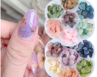 Dried Flowers Press-On Nails