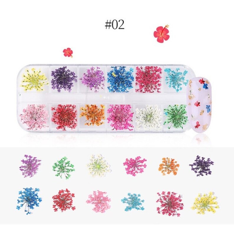 1 Box 3D Dried Flower Nail Decoration Natural Floral Sticker Etsy
