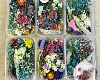 1 Box Mix Beautiful Real Dried Flowers Natural Floral for Art Craft Scrapbooking Resin Jewelry Craft Making Epoxy Mold Filling