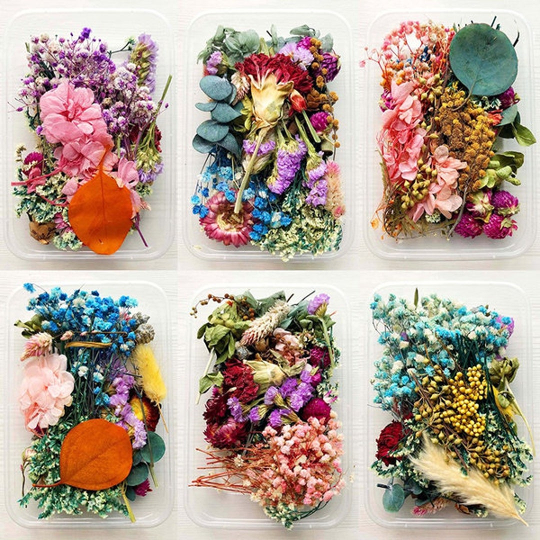 1Box Mixed Real Dried Flowers Dried Plants DIY Making Pendant Decor  Accessories 