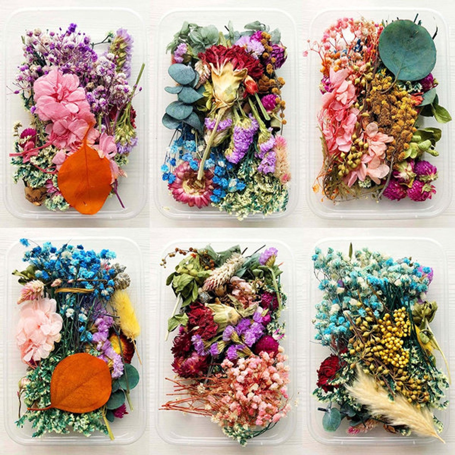 1 Box Bulk Mixed Dried Flowers Plants Epoxy UV Resin Etsy