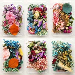 1 Box Bulk Mixed Dried Flowers Plants Epoxy UV Resin Aromatherapy Candle Random