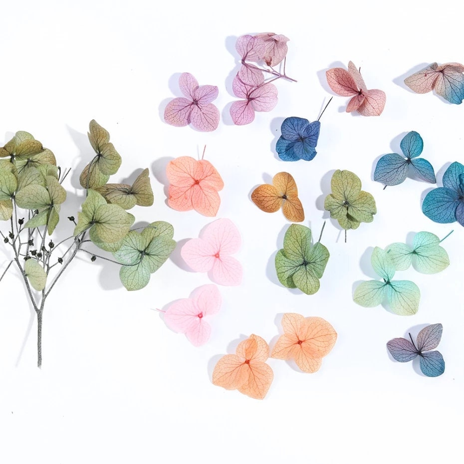 12-piece Hydrangea Dried Pressed Real Natural Flowers For Epoxy & UV R -  Resin Rockers
