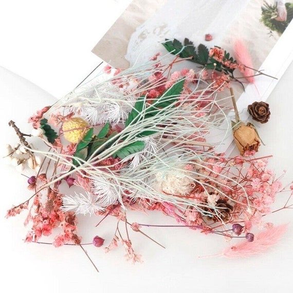 1 caja Real Mix Flores secas para joyería de resina Plantas secas Flores  prensadas DIY