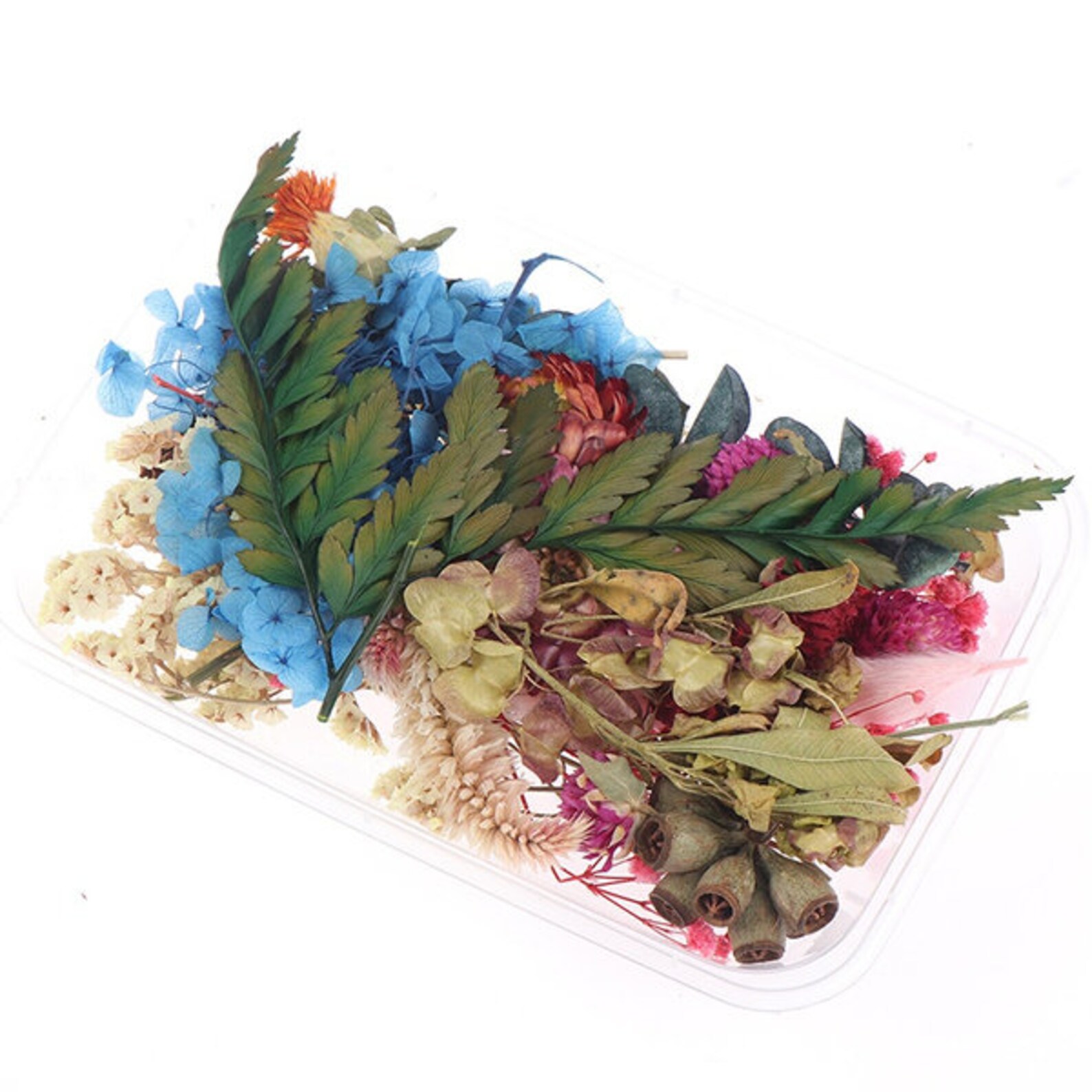 1 Box Bulk Mixed Dried Flowers Plants Epoxy UV Resin Etsy