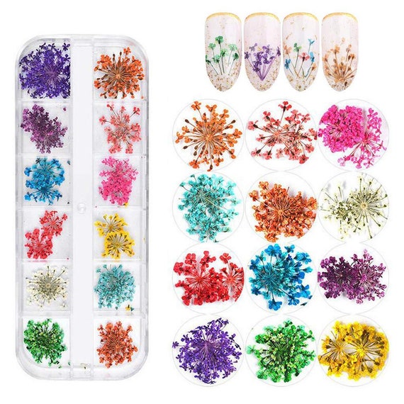 3D Nail Decor Nail Pressed Floral Natural Dry Dried Flower Manicure Nail  Charms