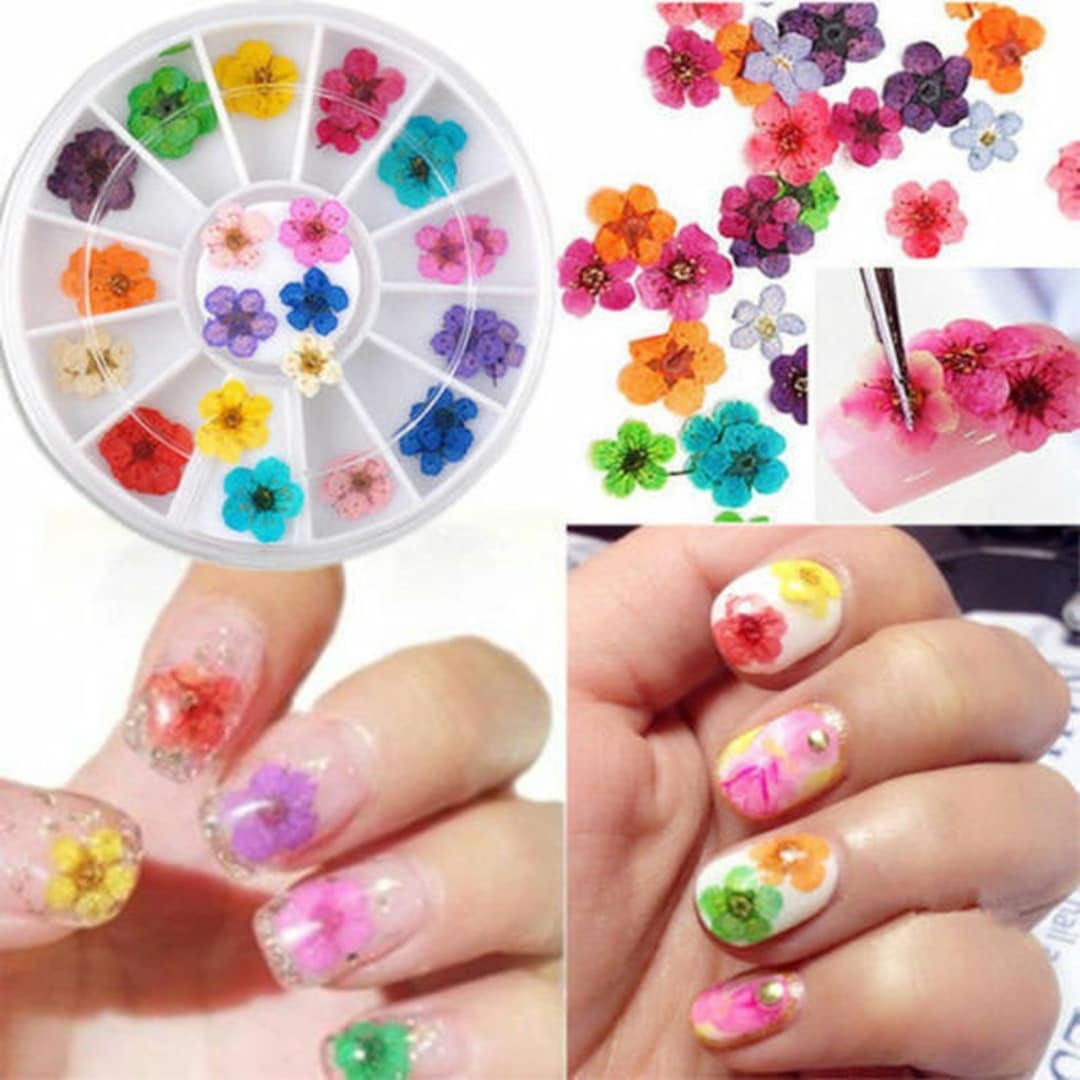 12 Colors Real Dried Flower UV Gel Nails Art 3D Acrylic Decor - Etsy