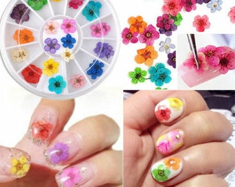 12 Colors Real Dried Flower UV Gel Nails Art 3D Acrylic Decor Manicure Wheel DIY