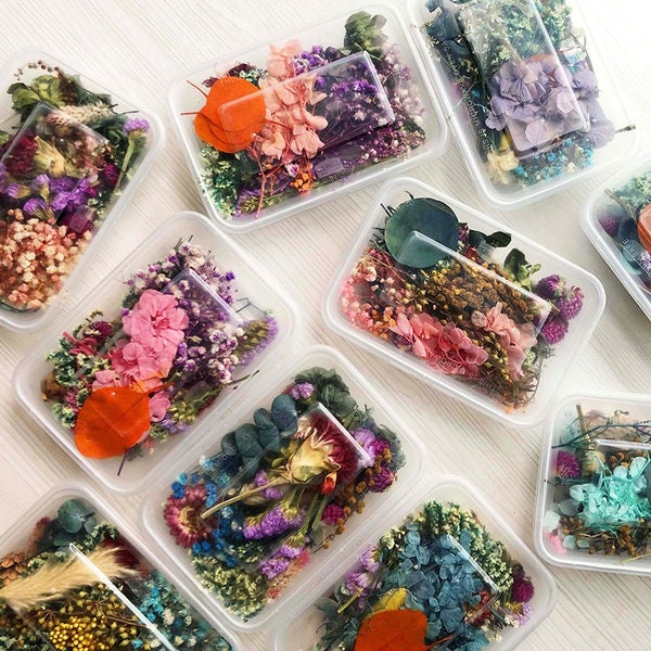 1 Box Real Dried Flowers For Resin Art, Jewelry, glitter – Phoenix