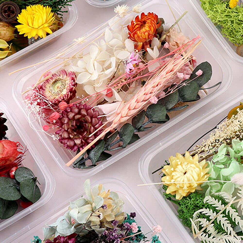 1Box Mixed Real Dried Flowers Dried Plants DIY Making Pendant Decor  Accessories 