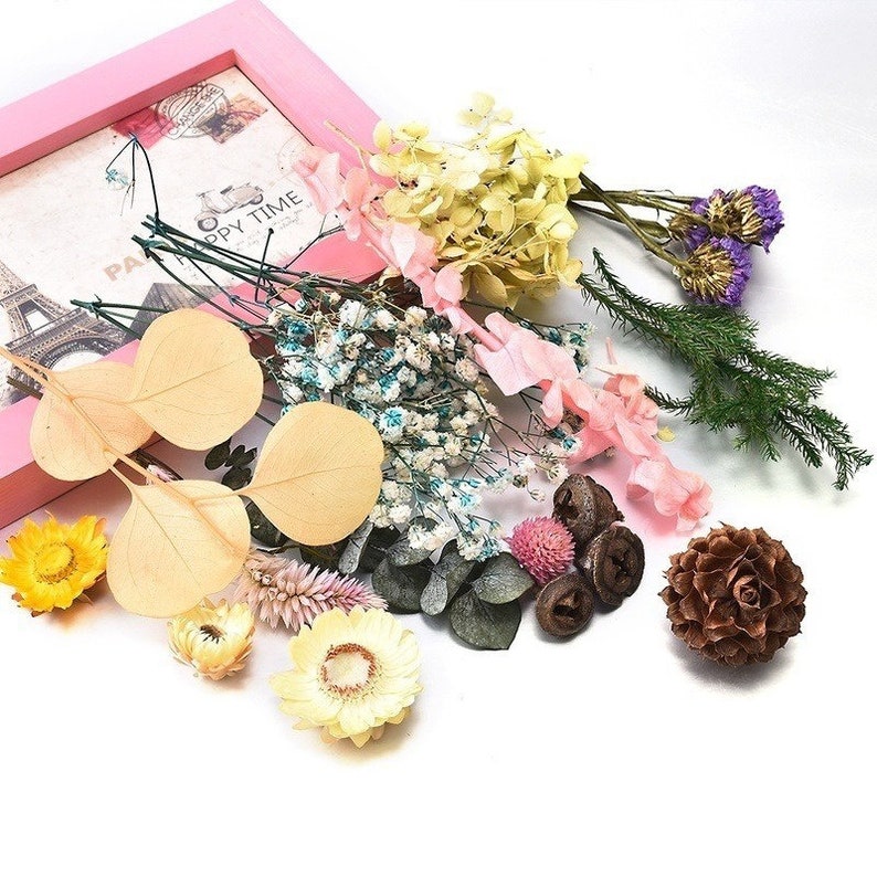 1 Box Mix Beautiful Real Dried Flowers Natural Floral for Art Etsy Canada