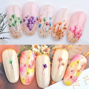 1 Box 3D Dried Flower Nail Decoration Natural Floral Sticker - Etsy