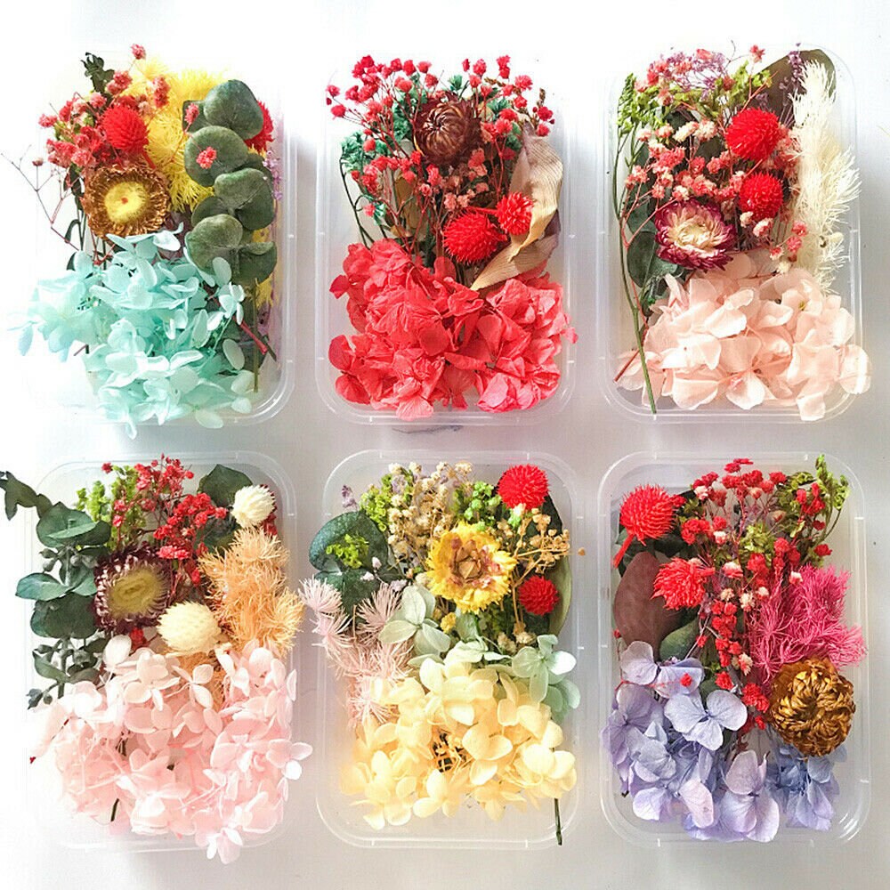 Wholesale BLH Dried Flowers and Herbs 100% Natural Dry Flowers for Candle  Making, Resin Jewelry Bath Bombs DIY pressed flower Best gift for  Valentine's day From m.