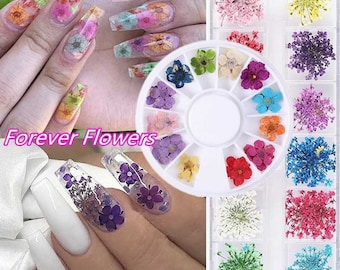 Pressed Dried Flower Nail Art Decoration Hydrangea Floral Petal DIY Tips  Sticker Dry Leaf Decals UV Gel Polish Manicure 