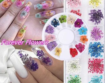 1 Box 3D Dried Flower Nail Decoration Natural Floral Sticker Mixed Dry Flower DIY Nail Art Decals Jewelry UV Gel Polish Manicure