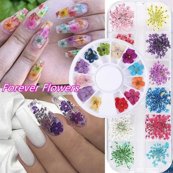 6 Boxes 3D Flower Nail Art Charms Light Change Nail Decals for Acrylic Nail  Art Accessories Glitter DIY Decoration Tips 