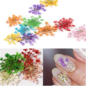1 Box 3D Dried Flower Nail Decoration Natural Floral Sticker - Etsy