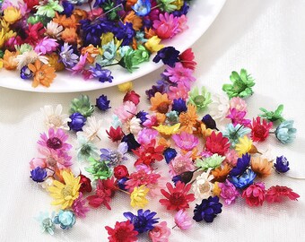 200PCS Dried Flower Head Daizy Glass Cover Nail Art Filling Epoxy Hand Craft DIY