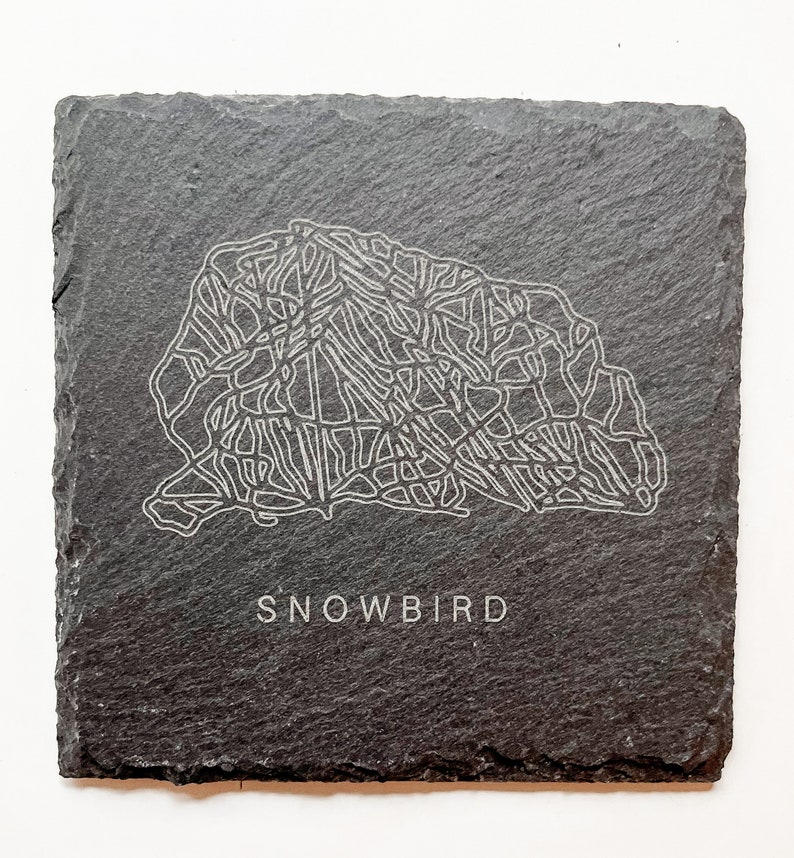 Ski Resort Mountain Custom Coasters Set of 4 Slate Coasters with Your Favorite Mountain Design Gift for Skiers image 7