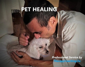 PET HEALING SESSION for emotional and physical problems (anxiety, depression, stress, infections, ailments etc).