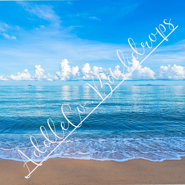 Digital  Background, Beach Backdrop, Digital Backdrop Digital Background Wedding