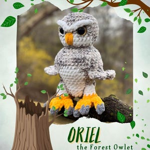 Op de afbeelding: Een gehaakte uil knuffel van grijze en witte textuurwol met grote donkere ogen, een gele snavel en feloranje voeten. De tekst Oriel the Forest Owlet en @whosyourgrannycreations staat onder de uil op een decoratieve achtergrond.