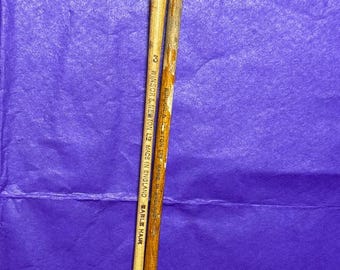 Antique Winsor & Newton Oil and Watercolour Paint Brushes Artists Painting Vintage Art