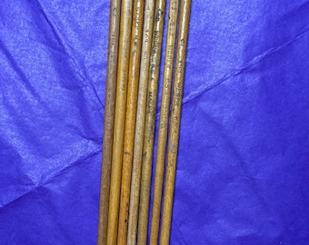 Puede incluir: Colección de pinceles usados con mangos de madera y virolas metálicas. Las cerdas muestran signos de desgaste y residuos de pintura. Los pinceles están dispuestos sobre un fondo azul oscuro texturizado.