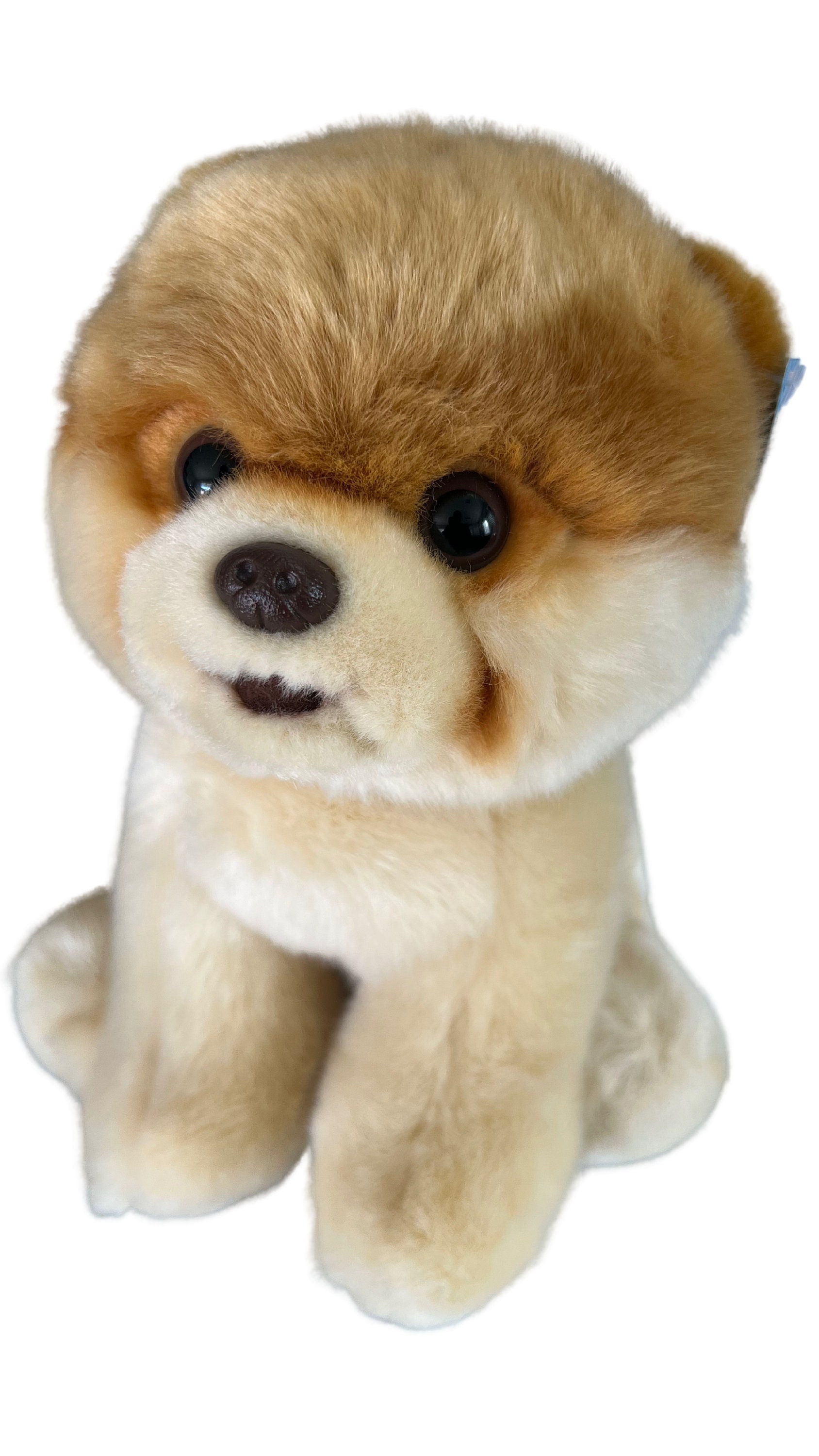 Gund Boo Pomeranian Dog Plush Cream Brown 9 Soft Toy Stuffed