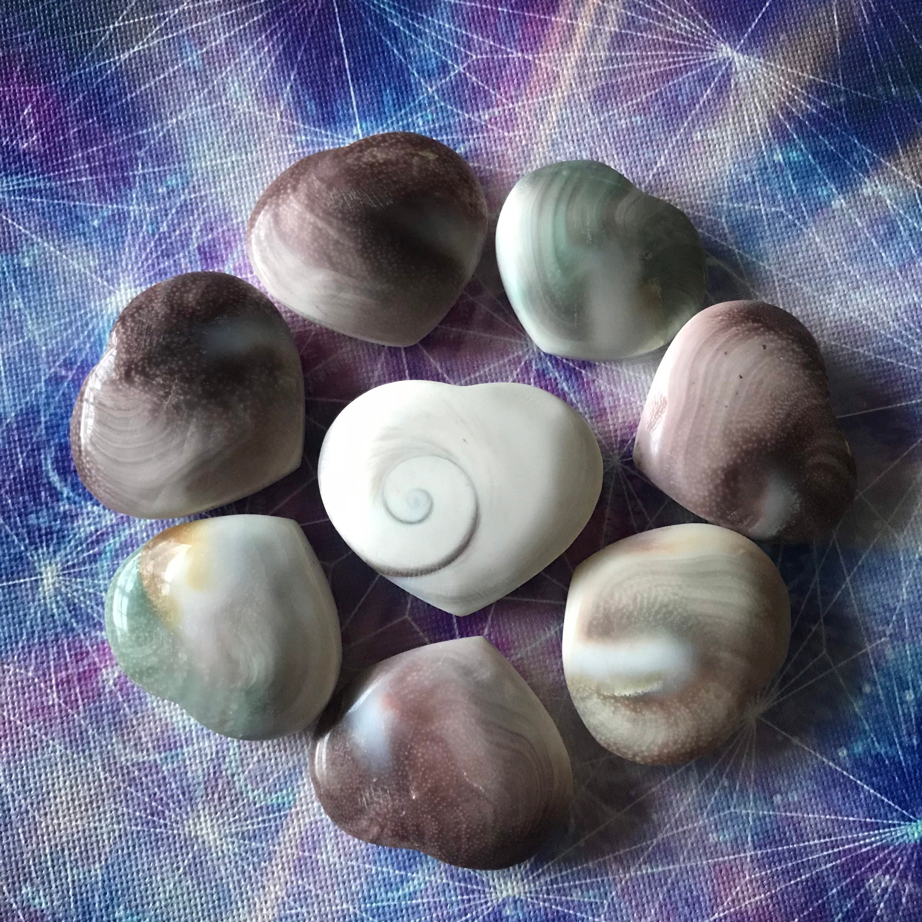 Shiva Shell Hearts for wisdom protection and self-confidence | Etsy