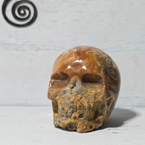 May include: A carved skull made of brown and orange banded agate. The skull is detailed with eye sockets, a nose, and a mouth.