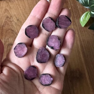 May include: A collection of small, irregularly shaped, polished gemstones. Each stone has a deep purple center with a dark, almost black, border. The stones are held in a hand, with a wooden surface in the background.