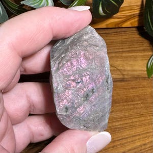 May include: A rough-cut, gray and pink labradorite gemstone. The stone has a shimmering, iridescent quality with flashes of pink and purple. The gemstone is held in a hand.