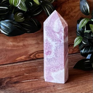 May include: A tall, pink crystal tower with white marbling. The polished gemstone is rectangular with a pointed top. The crystal is displayed on a wooden surface with green and white leafy plants in the background.