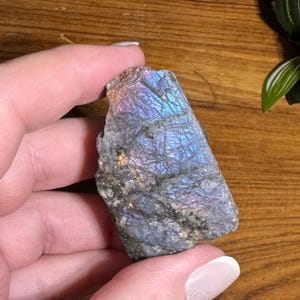 May include: A rough-cut labradorite gemstone with iridescent blue, purple, and gold flashes. The stone is held in a hand, showcasing its natural, textured surface. The gemstone's colors shift with the light, creating a captivating display.