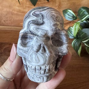 Könnte beinhalten: Eine geschnitzte Totenkopf-Figur mit einem Wirbelmuster aus Grau und Weiß. Der Schädel hat detaillierte Merkmale, einschließlich Augenhöhlen, einer Nasenhöhle und Zähnen. Die Figur wird in einer Hand gehalten, mit einem hölzernen Hintergrund und grünen Pflanzen.