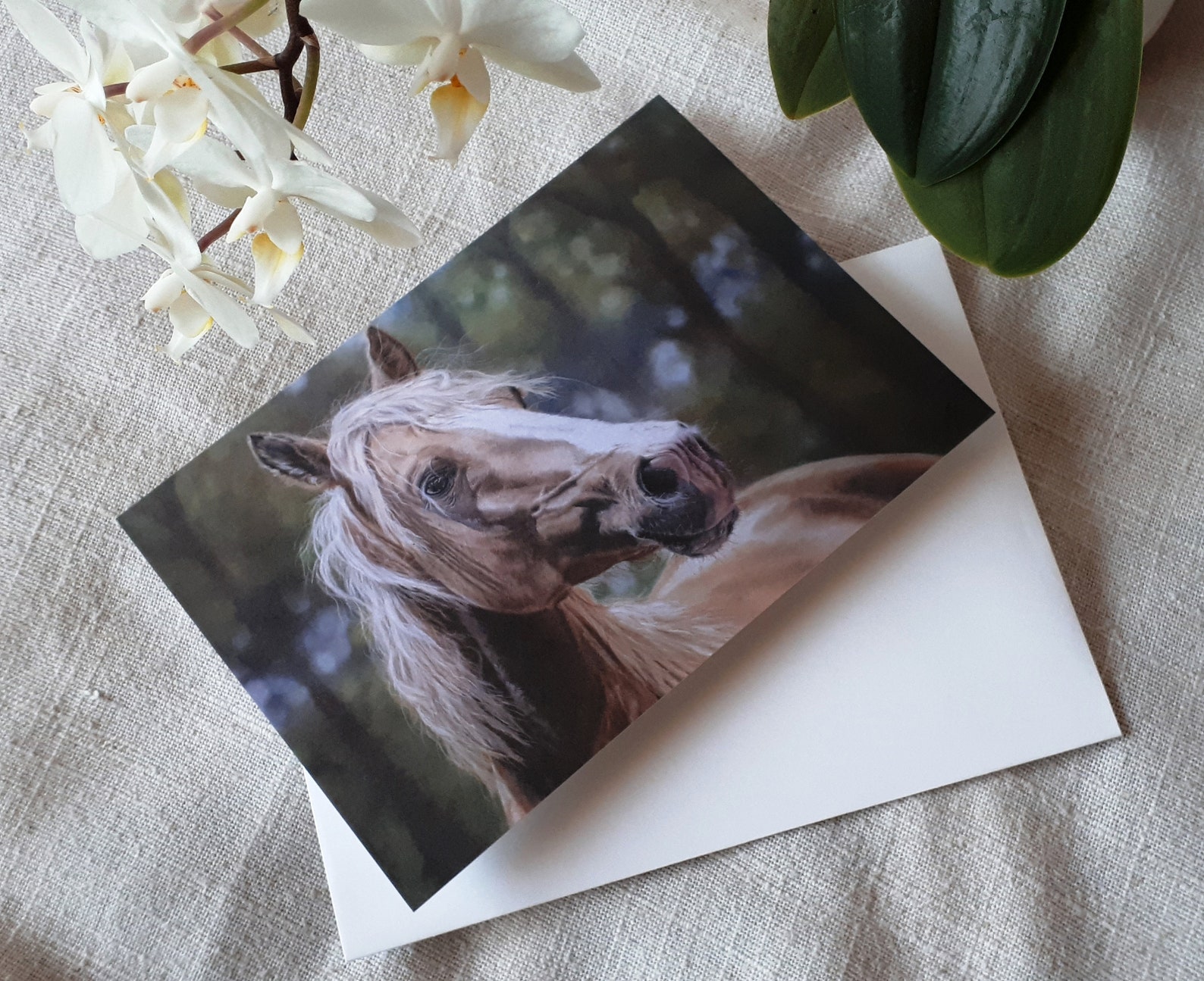 Horse Greeting Card/ Blank Greeting Card/ Fine Art Greeting Etsy