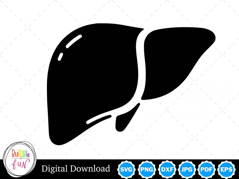 Liver Silhouette Vector Image With SVG, Eps, Pdf, Png, Pdf, and Jpg ...